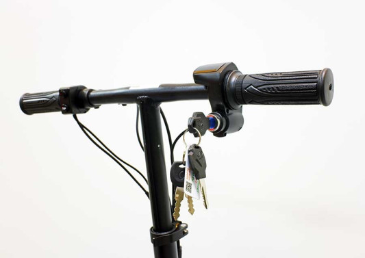 Электротрицикл GreenCamel Кольт V700, черный