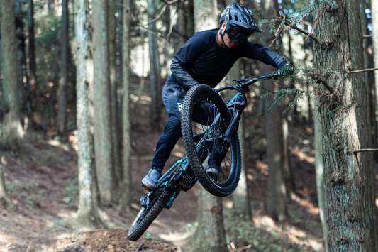 Электровелосипед FREY AM1000 V6